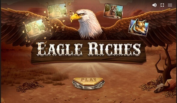 Výherný automat Eagle Riches