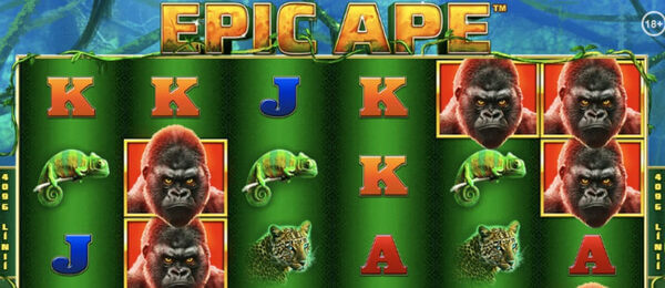 Epic Ape v Doxxbet casino